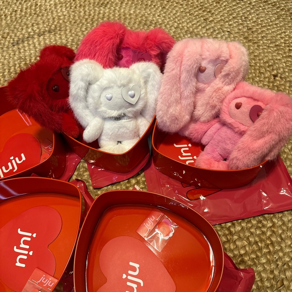 NWT Full Set of 5 Juju Valentines - Picture 5 of 9